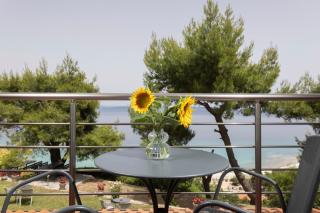 Sea View Apollo Apartments & Studios in Afytos - Afitos - 2