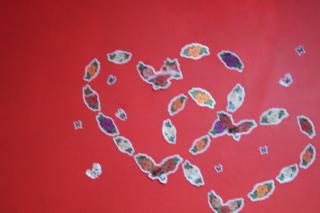 B&B Il Viale - 9