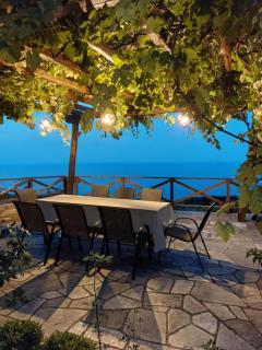 Θαλλώ Luxurious Villa - Tsagarada - 2