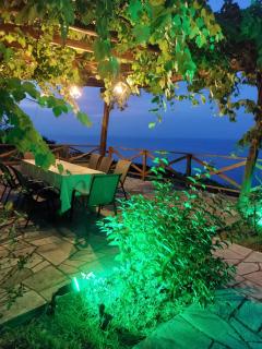 Θαλλώ Luxurious Villa - Tsagarada - 3