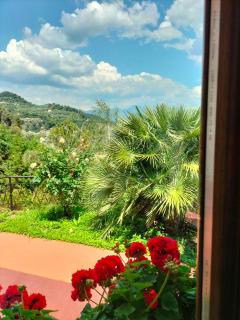 Casa Magnolia - Camporosso - 3