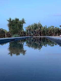 Green House - Ustica - 1