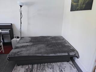 Appartement T2 près de la Seine, gare 4 minutes - 4