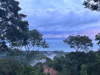 Jungle paradise - Ballena - 7