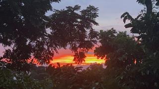 Jungle paradise - Ballena - 0