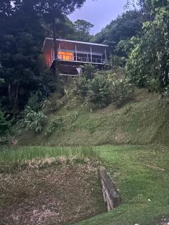 Jungle paradise - Ballena - 4