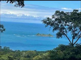 Jungle paradise - Ballena - 3