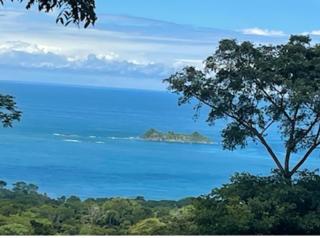 Jungle paradise - Ballena - 1