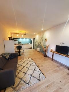 appartement hôtes entier Millau Compeyre - Compeyre - 7