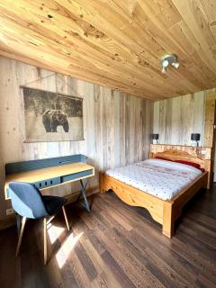 Appartement cosy avec jardin et barbecue - Gérardmer - 1