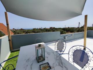 Olive tree house - Sozopoli - 0