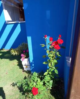 Chácara Mig&Vá - 3