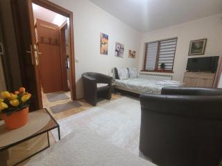 Apartman Bojana - Vrnjačka Banja - 8