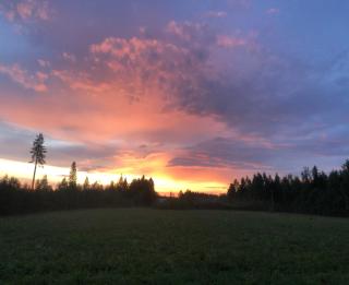 Peaceful, high-quality, rural home - Pieksämäki - 0