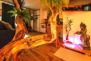 Jungle Spa - Cocon tropical et dépaysant avec balnéo en plein coeur de Pézenas ! - 2