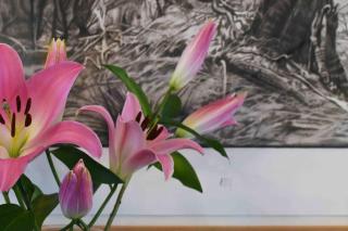 Sublime Luxury - Battery Point - Hobart - 1