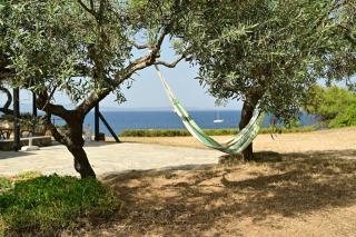 Villa Rozalenia Mare - Ormos Panagias - 5