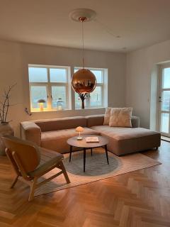 Petursborg luxury in Vágur - Vágur - 5