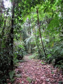 Centro Manú - 8