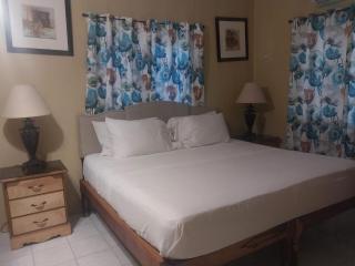 Brytan Villa - Treasure Beach - 9