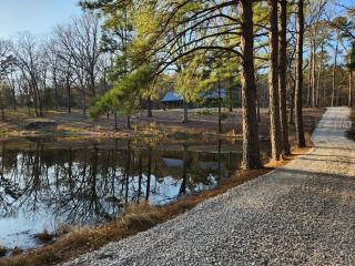 The Cabins at Northwood Trails - Hot Springs - 2