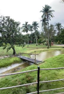 Peace in Ranong - - 5