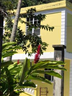 Cozy Single Getaway - Roseau - 8