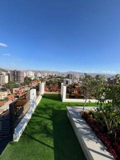 Departamento ejecutivo de lujo II - 1