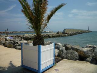 Appartement T2 Front de Mer avec Balcon et Parking – Confort et Activités à Proximité - FR-1-797-37 - 5