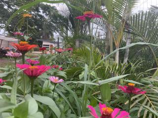 Casitas ASH - Puntarenas - 4