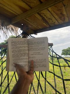 Delft Jungle Beachfront Villa - 5