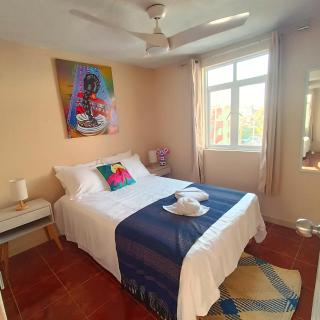 Private Apartment in Central Oaxaca, WIFI, Parking - Santa Lucía - 7