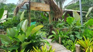 Tee Bungalow in the jungle - 2