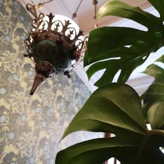 Maison Verte, Monument Historique - Roubaix - 4