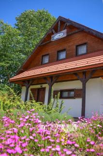 Cinege Vendeghaz/Casa de oaspeți Pițigoi - Izvoare - 4