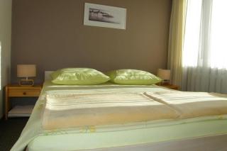 Rezydencja VIOLA - Daga - 8