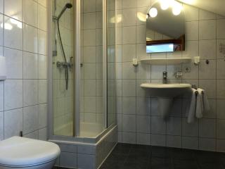 Gasthof zur Alten Post - Regen - 1