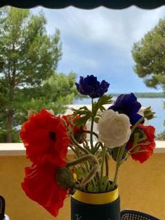 Apartments Atila - Mali Lošinj - 9