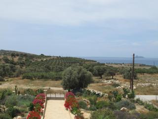Villa Xenophon - Pitsidia - 5