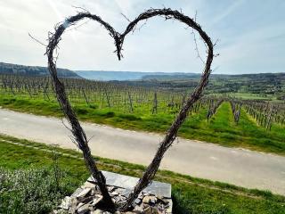 Ferienwohnung Moselherz - Urlaub im Wein- und Ferienort Bekond - Bekond - 2