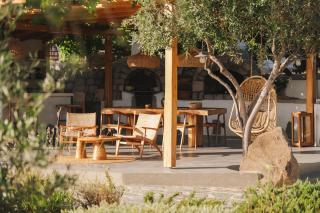 Iliana Olive Branch - Adamantas - 0