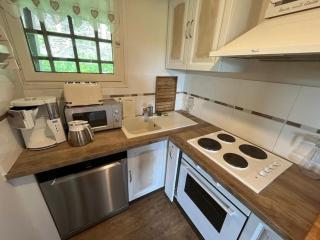 Bel appart dans chalet Pla Adet - Saint-Lary-Soulan - 9