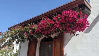 Charming house with sea view in Valledoria - Valledoria - 9