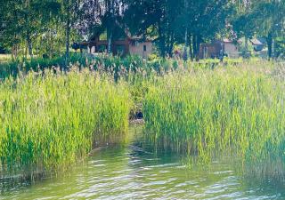 Domek wakacyjny nad jeziorem - 8