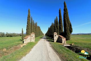 Maremma Holidays-Franciana Apartment - Casa Franciana - 0
