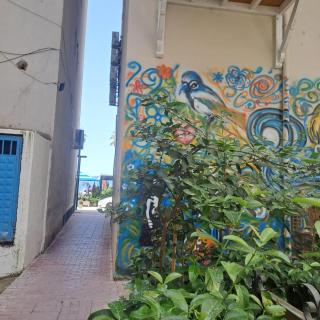 Charming Apartment - Vlorë - 7