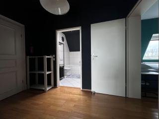 Schönes Dachgeschoss Apartment im Waldstraßenviertel - Leipzig - 8