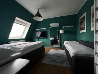 Schönes Dachgeschoss Apartment im Waldstraßenviertel - Leipzig - 5