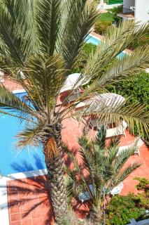 Typic Sandic Apartments - Es Cana - 5