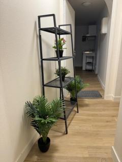 Appartement 1er étage porte droite - 3